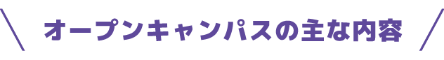 オープンキャンパスの主な内容